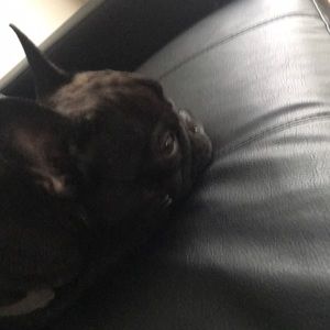 Meet your Posher, Carlos